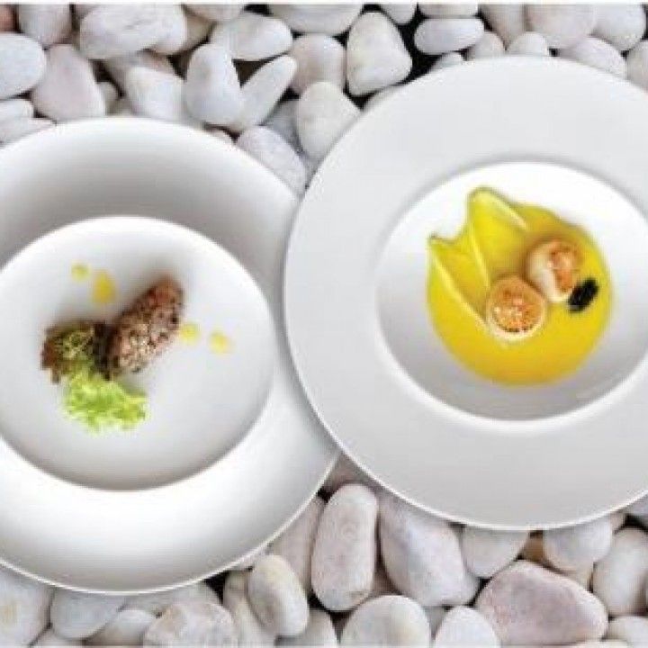 Prato Apresentacao Gourmet