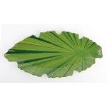Bandeja 52x25 Melamim. Verde 84088