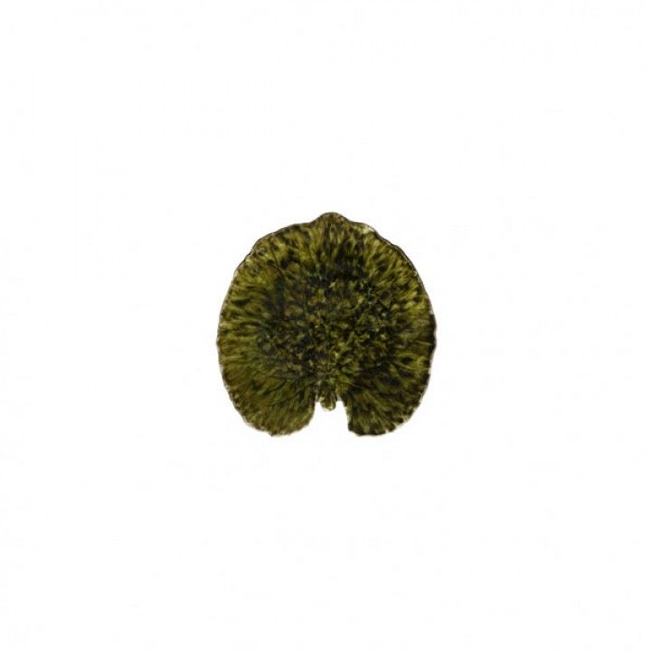 Prato Folha 18cm Riviera Alquemila Forets