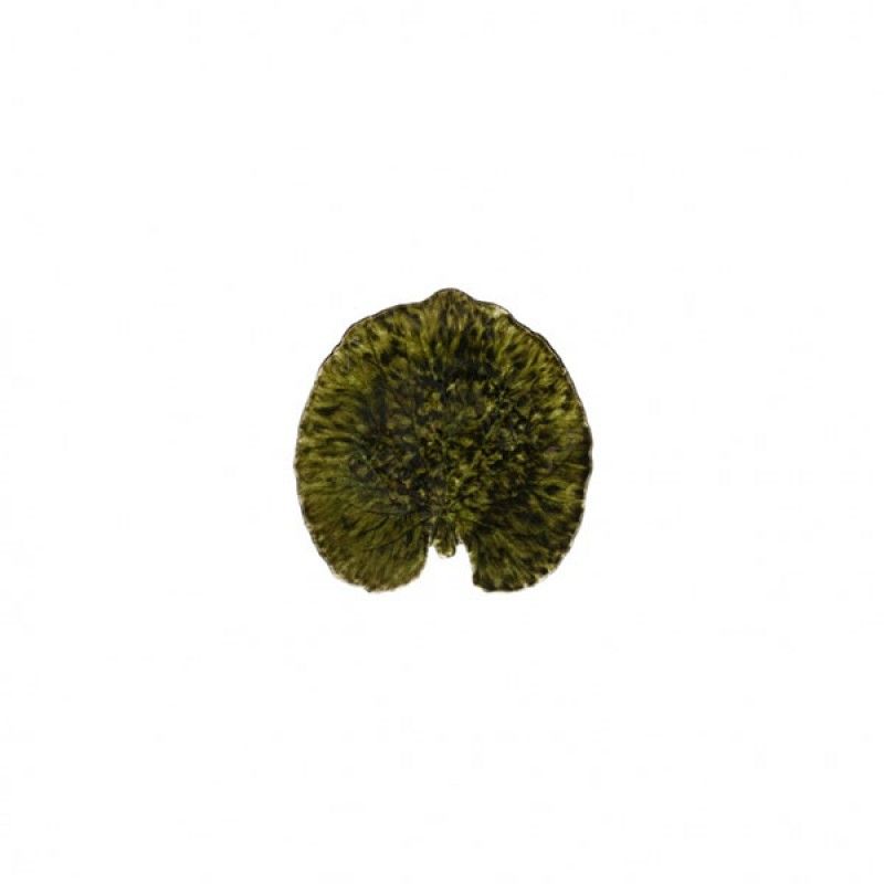 Prato Folha 18cm Riviera Alquemila Forets