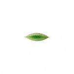 Folha Loureal 18cm Riviera Tomate
