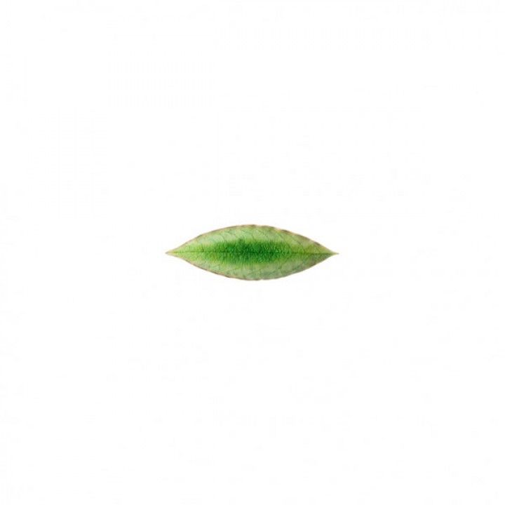 Folha Loureal 18cm Riviera Tomate