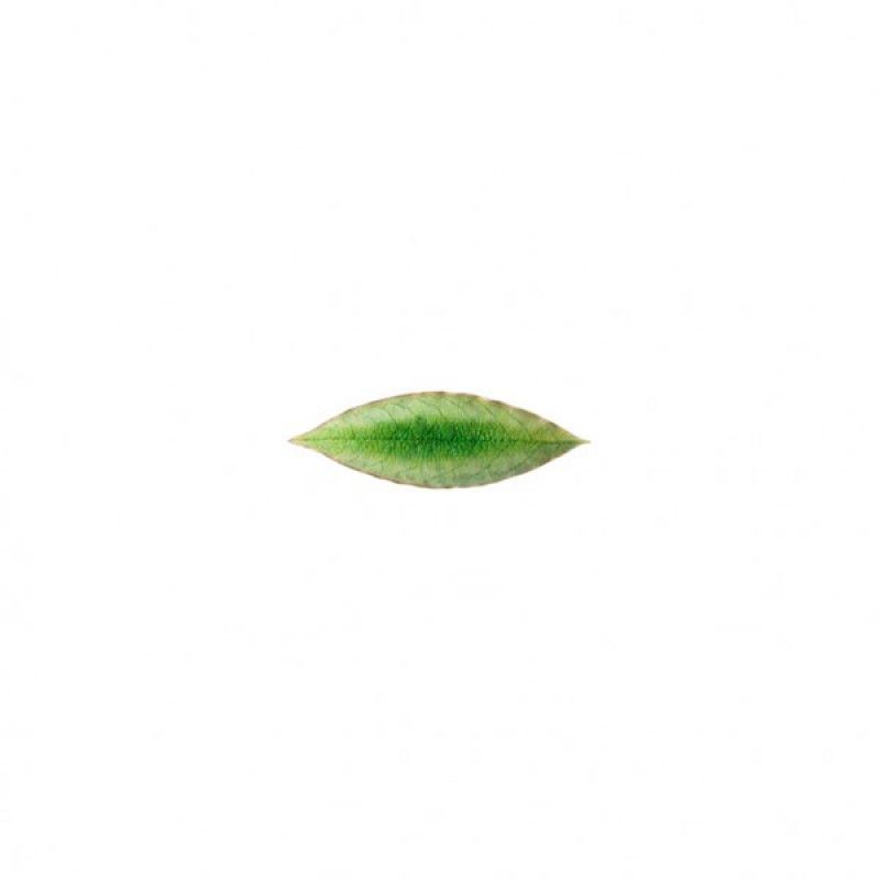 Folha Loureal 18cm Riviera Tomate