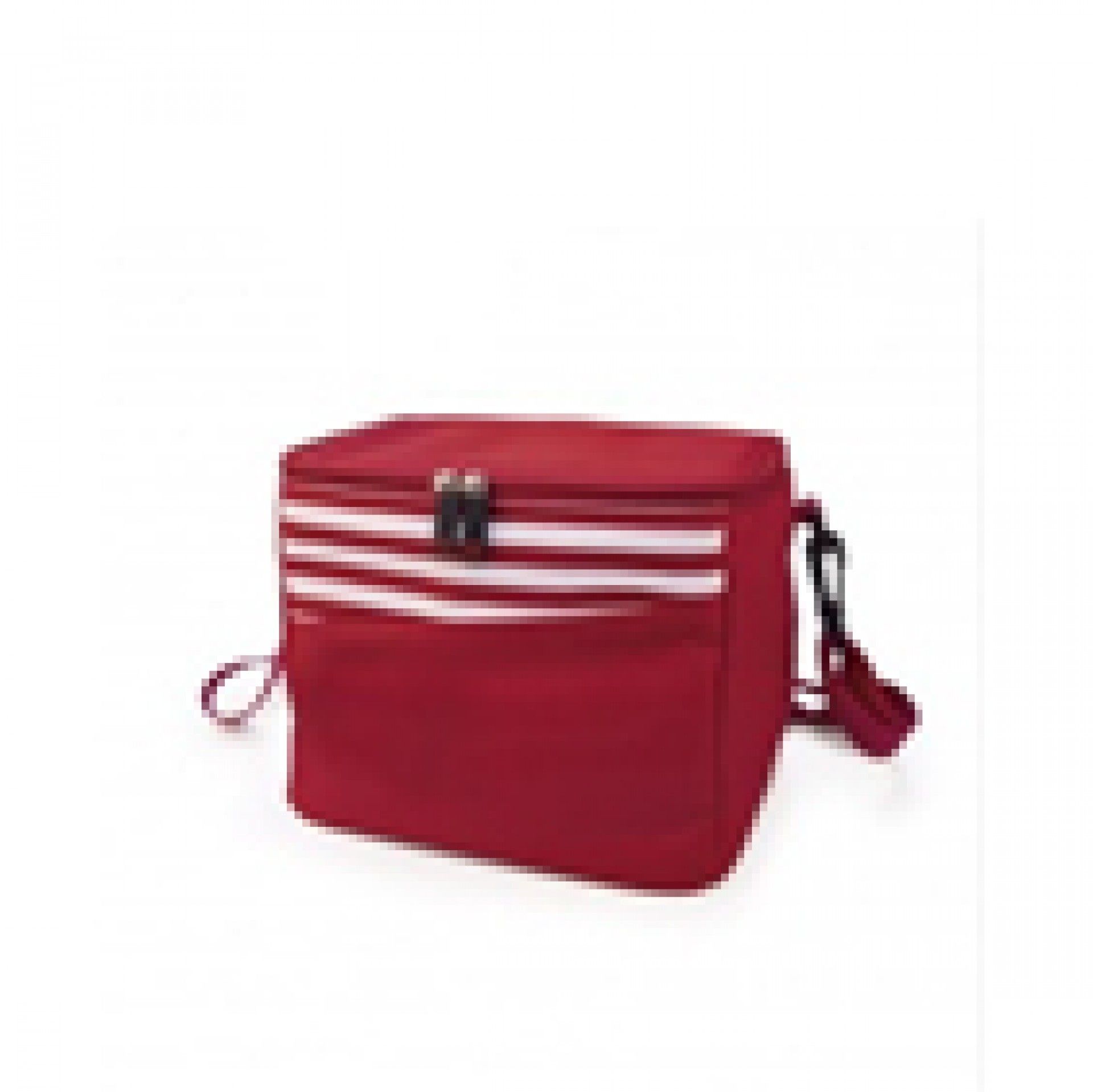 Saco Termico Mini Cooler Verm 8l 9166-T