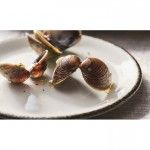 Prato Raso Coupe 15cm Charcoal Dapple 17560568