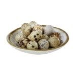 Taca 15.5cm Stone Art 84509