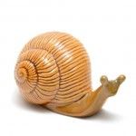 Caracol Grande Liso 15x8.5x8.5cm