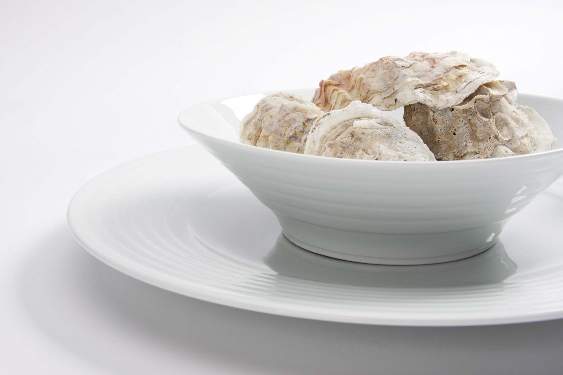 Taca Cereal Suite Spal