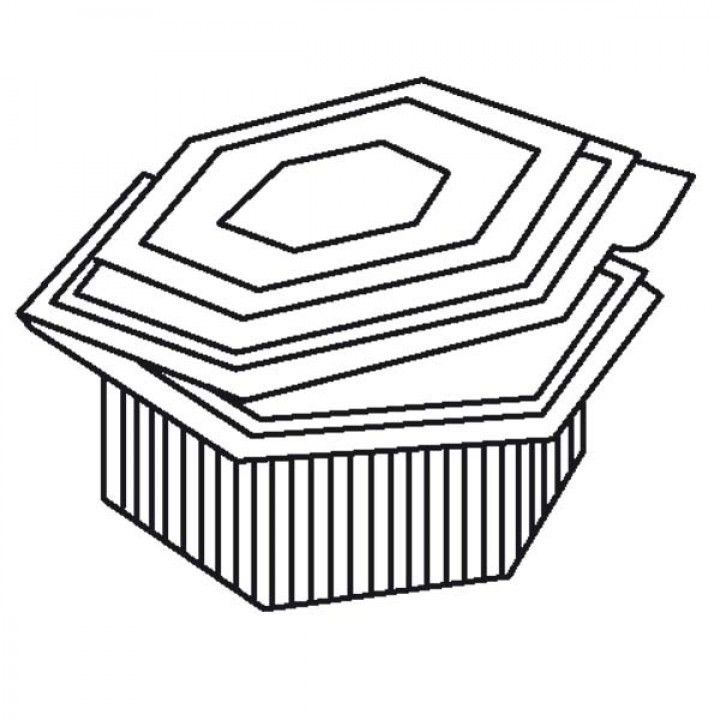 Cj.50 Caix.Hexag.C/T.1000 129.11