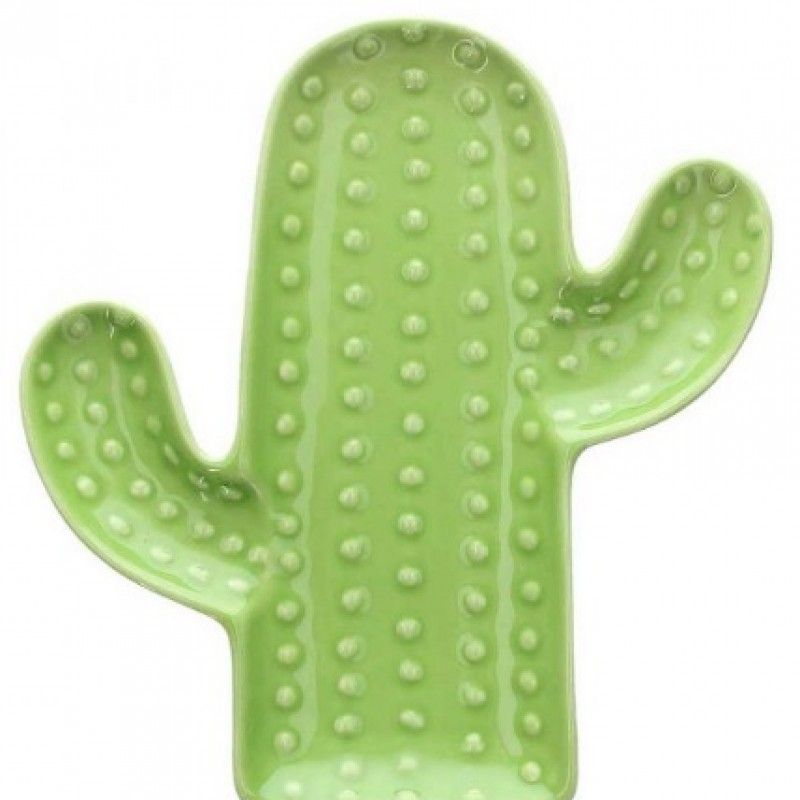 Prato Cacto 20cm Pachy