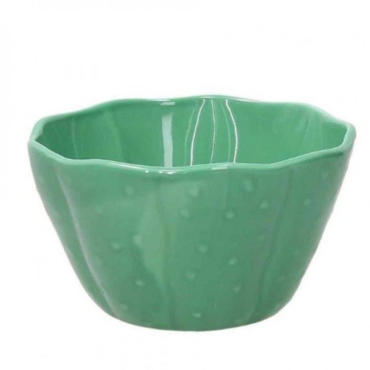 Taca Cacto 15cm Pachy