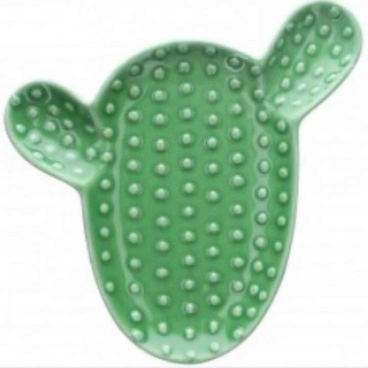 Prato Cacto 20cm Pachy
