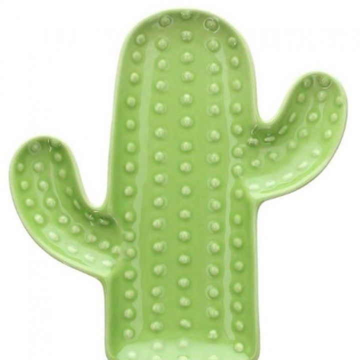 Prato Cacto 20cm Pachy