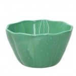 Taca Cacto 15cm Pachy