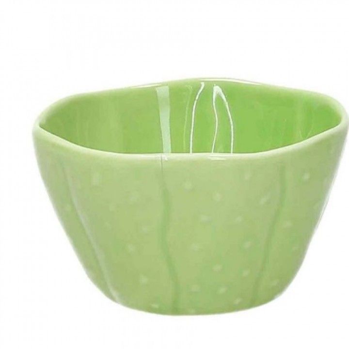 Taca Cacto 10cm Pachy Taca Cacto 10cm Pachy