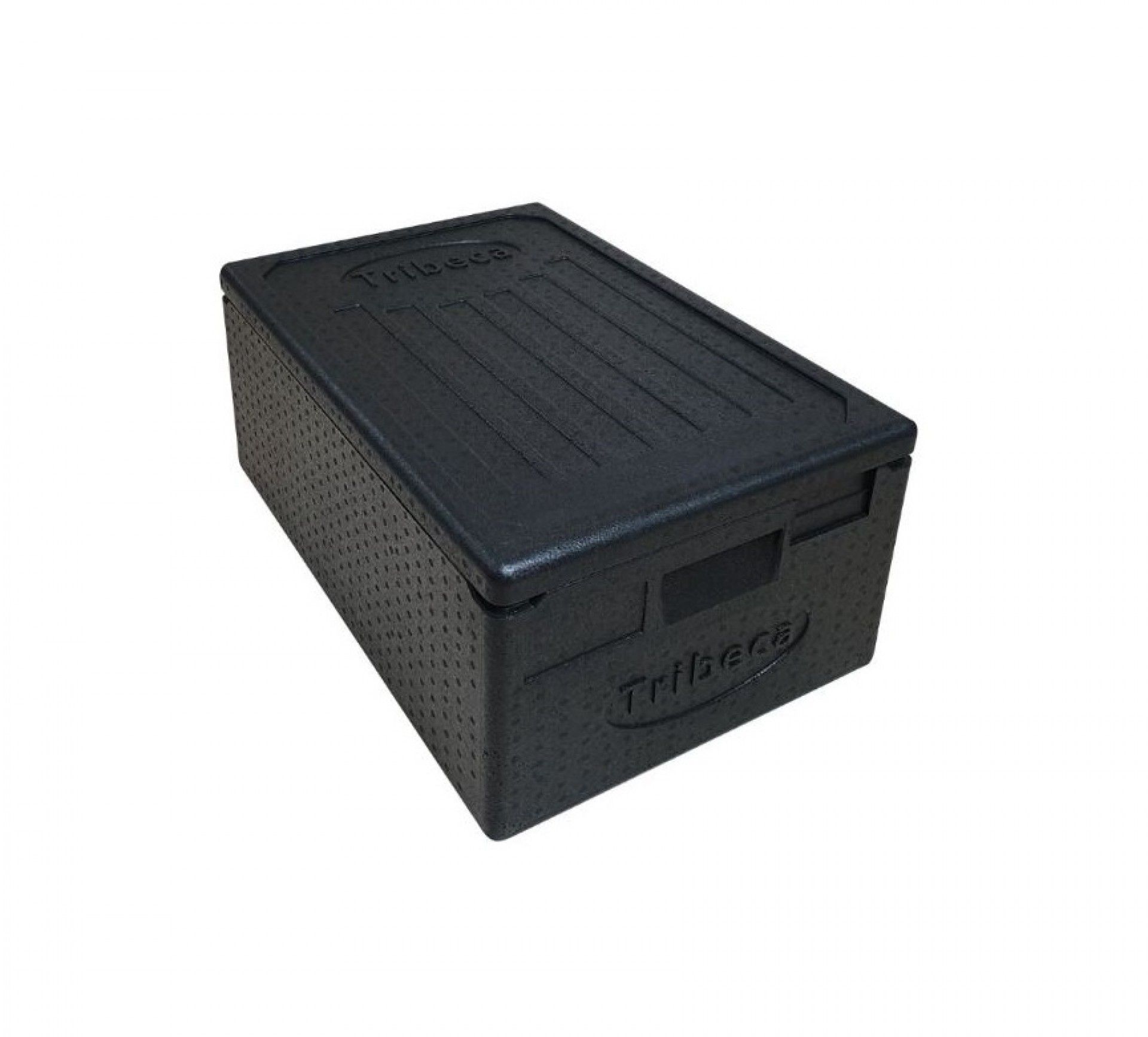 Caixa Termobox 200 P/Gn 1/1 Epp-200