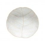 Saladeira 28 Silvina Branco Funcho