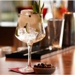 Calice Gin 3713/60 Arome